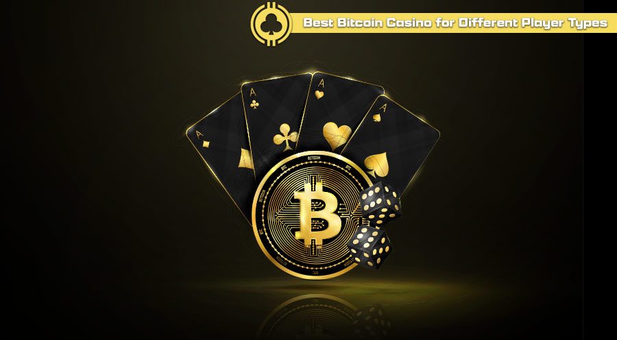 Best Bitcoin Casino for Different Player Types